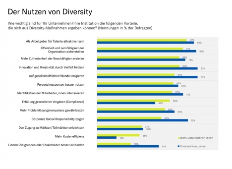 Diversity Management als Chance für Innovationen -